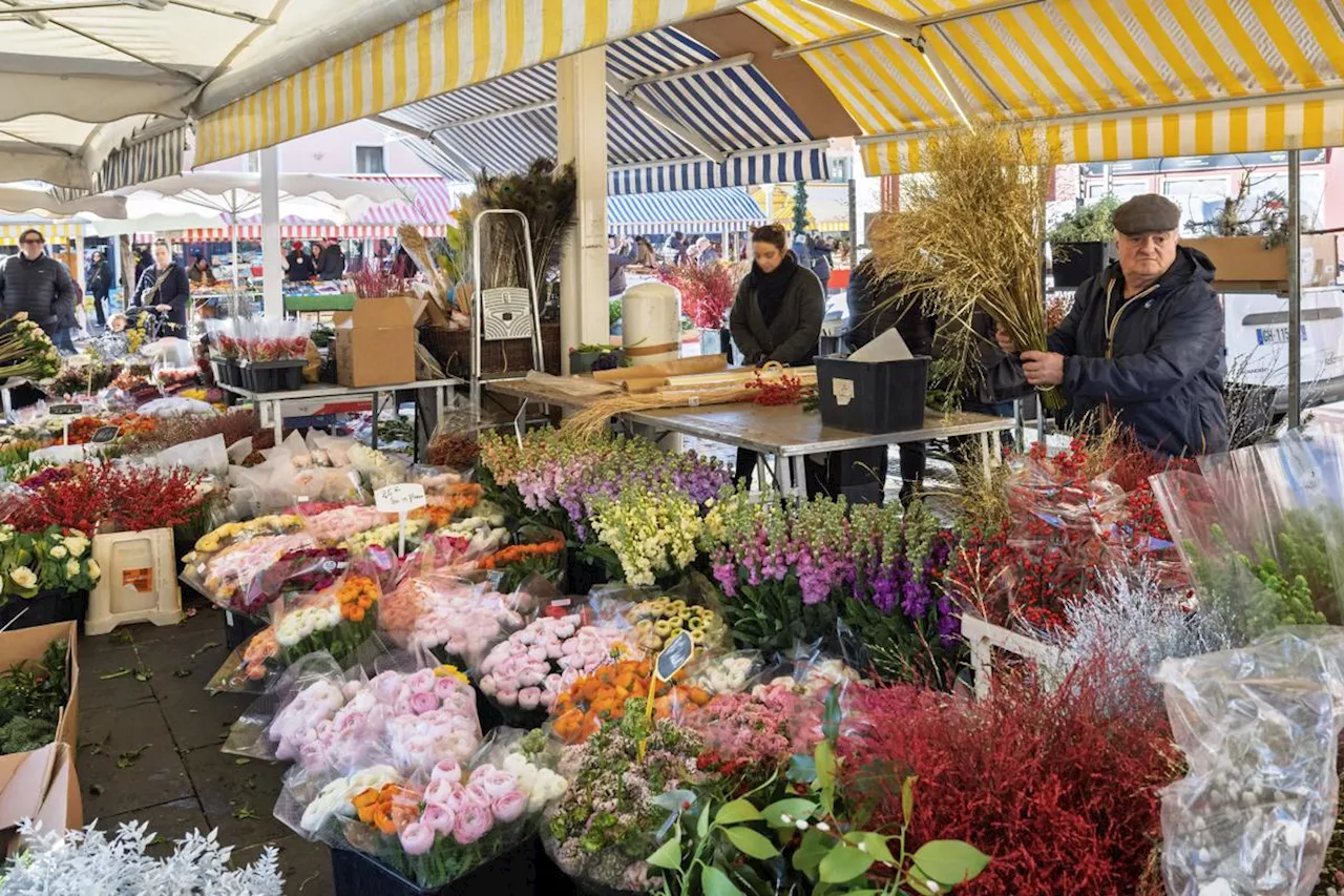 Exposition des fleuristes aux pesticides : l’Anses lance une mission d’évaluation