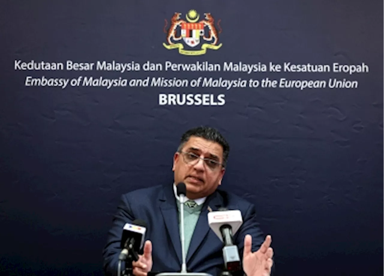 PM Anwar expected to address issues on trade, Palestine with Belgian, EU leaders, says envoy