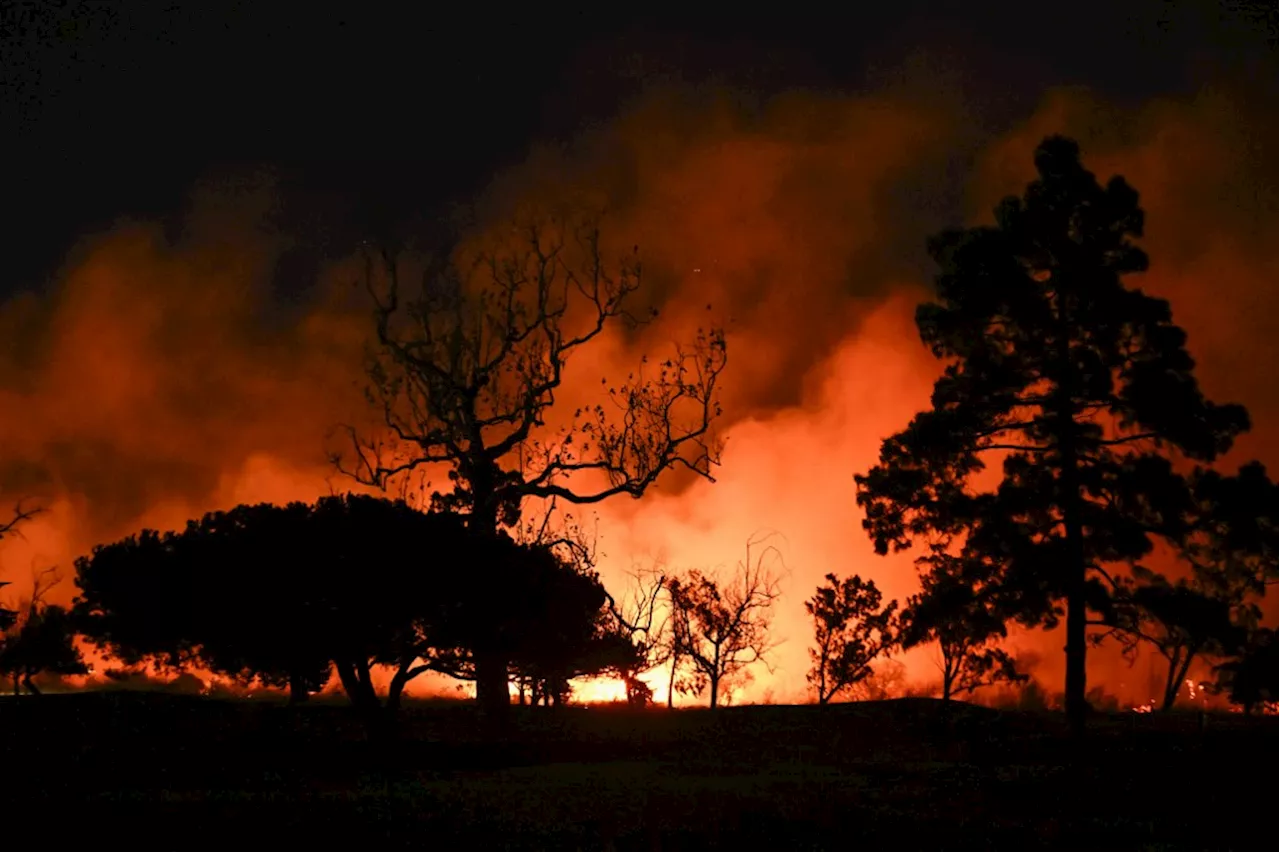 Les incendies de Los Angeles : un symbole de protestation contre l'imaginaire contrôlé