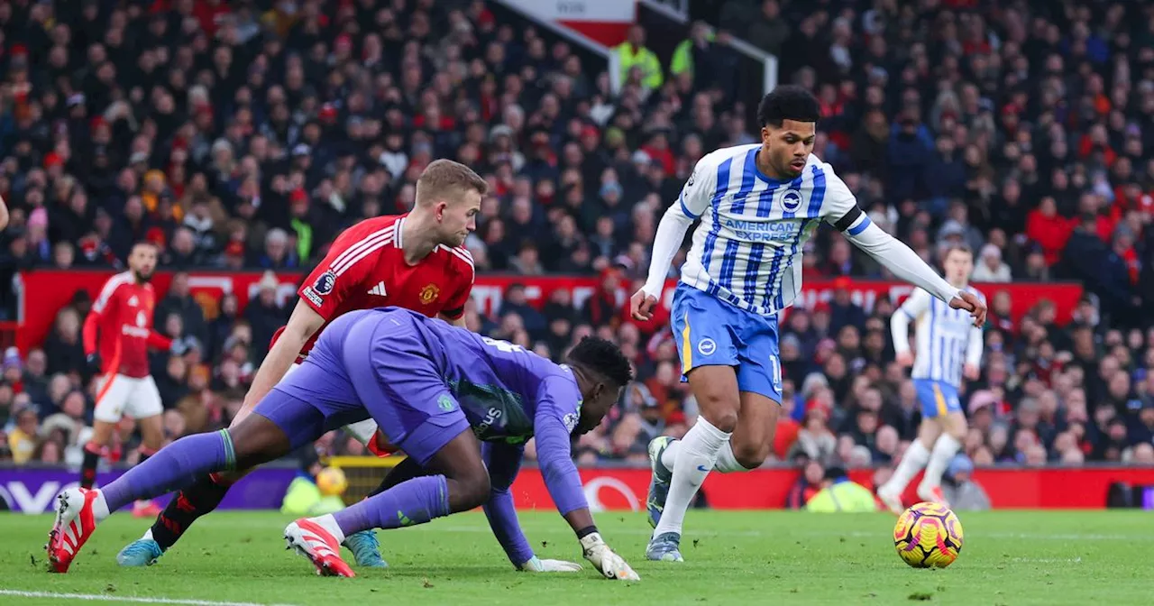 Manchester United Fall to Brighton in Disappointing Home Defeat