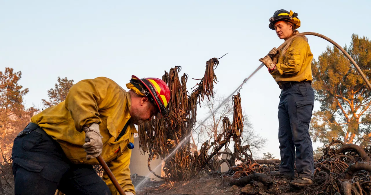 Santa Ana Winds to Bring Extreme Fire Risk to Southern California