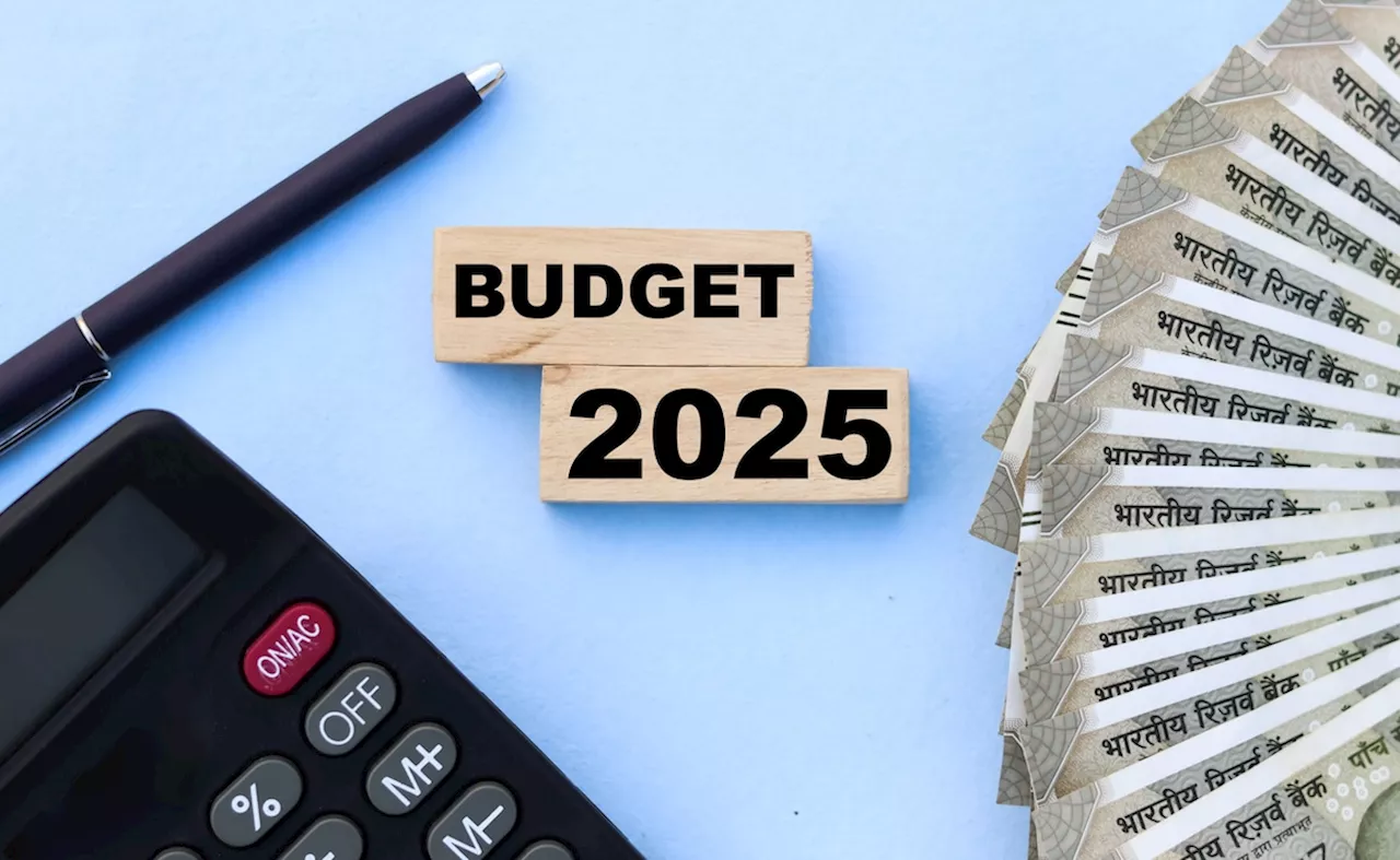 Budget 2025 Expectations: वित्त मंत्री टैक्सपेयर्स को दे सकती हैं तोहफा, Income Tax को लेकर हो सकता है ये 5 ऐलान