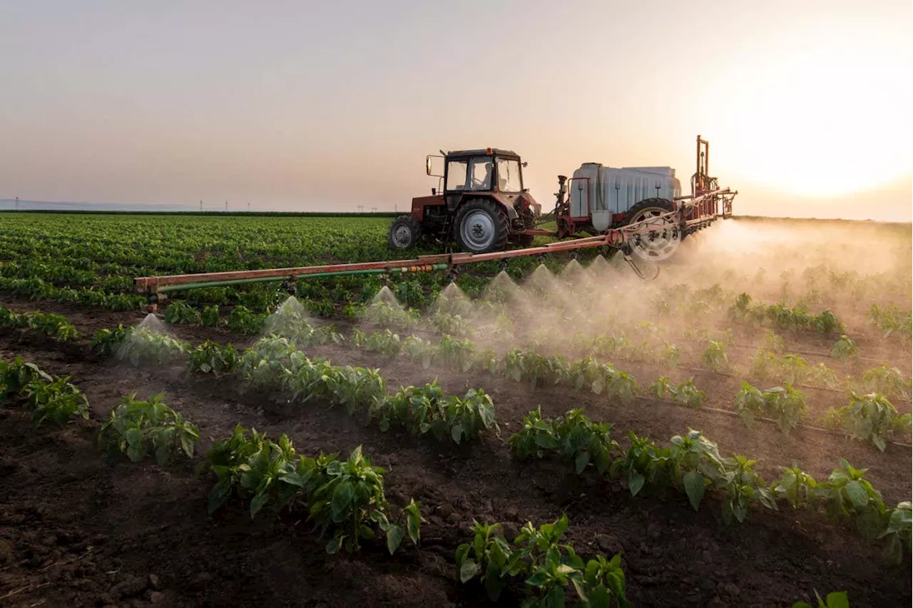 Urine-Derived Fertilizer Holds Promise for Sustainable Agriculture