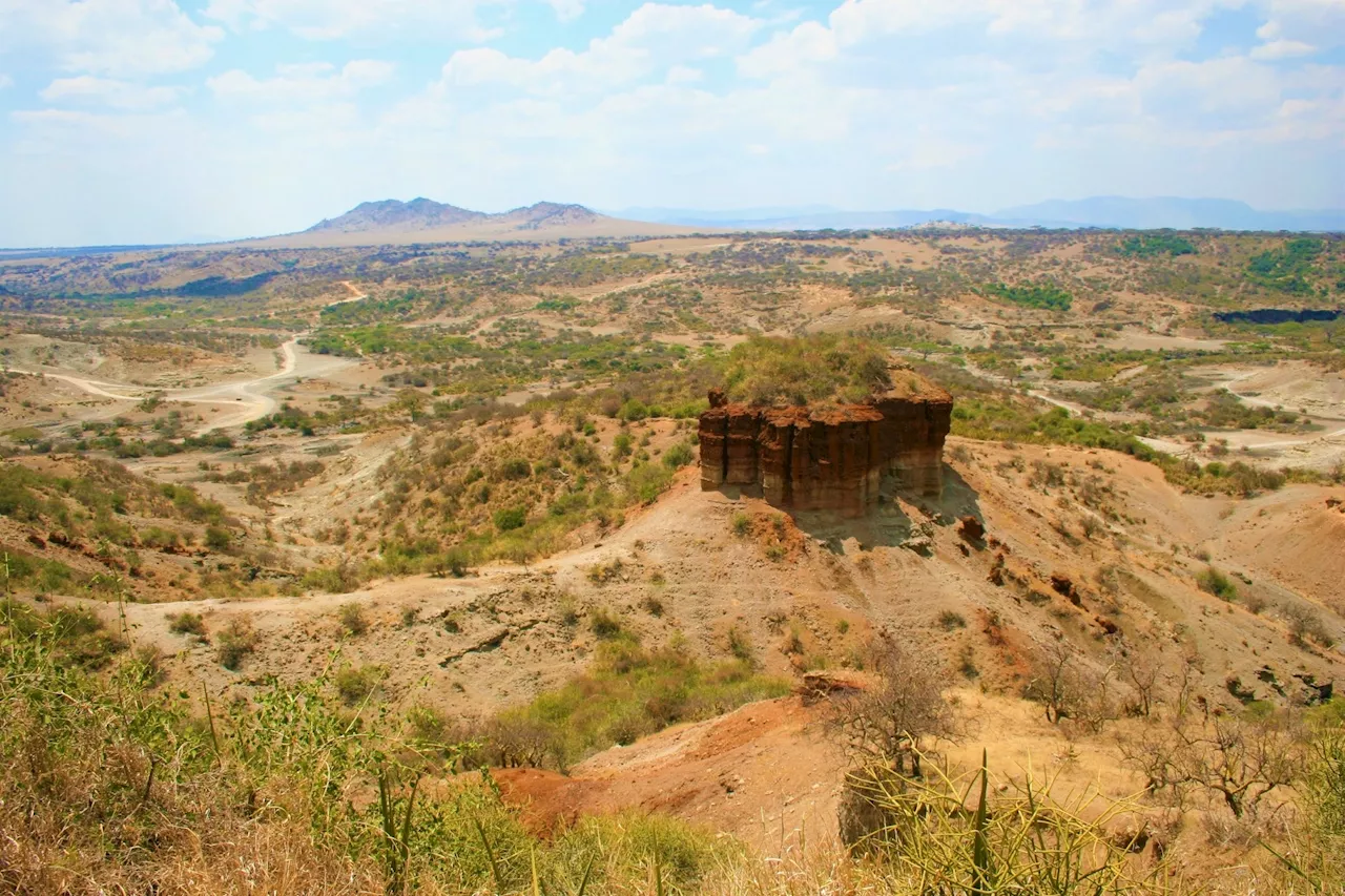 Scientists reveal Homo erectus mastered desert survival one million years ago