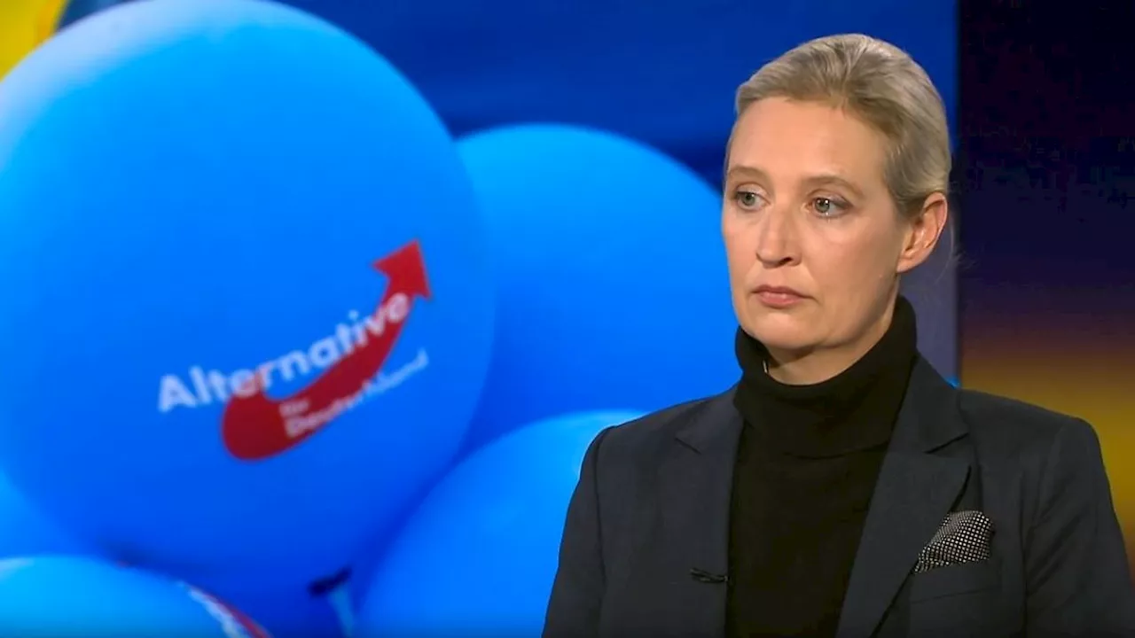 Alice Weidel verspricht Steuersenkungen, aber keine konkreten Antworten auf Familienfragen