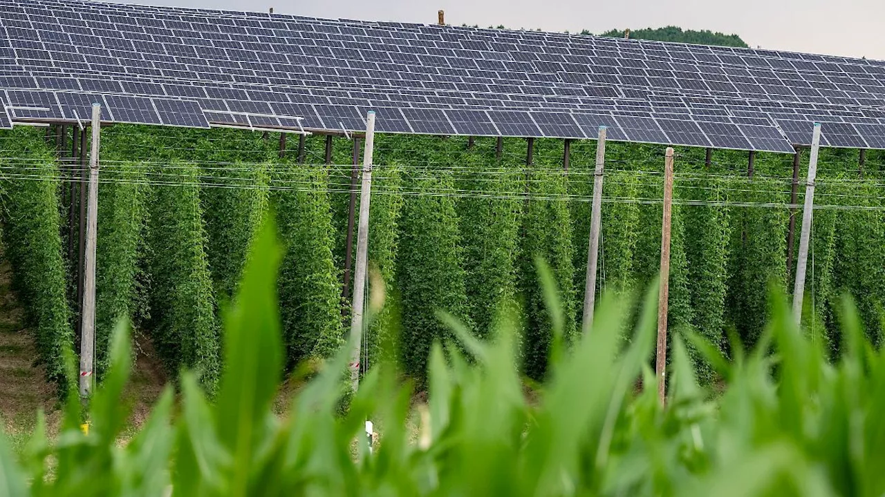 Thüringen: 100.000 Photovoltaikanlage in Thüringen