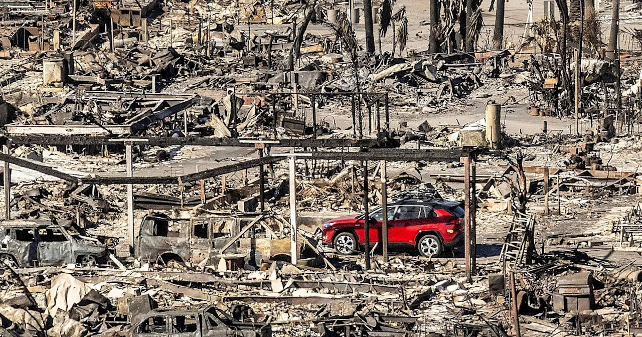 Los Angeles rüstet sich für erneute Brände