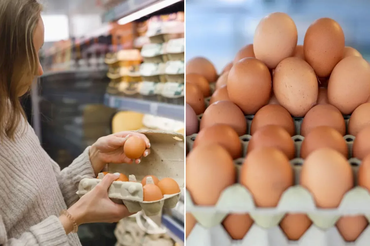 Egg prices may rise as much as 20% by end of the year, says expert