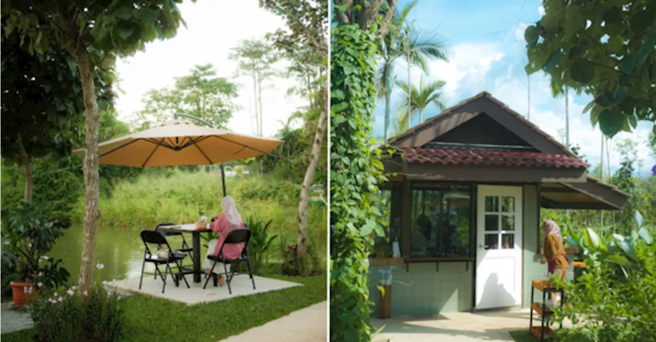 New Hidden Café In A Nursery With Lakeside Views In Kedah Is Every Nature Lover's Dream