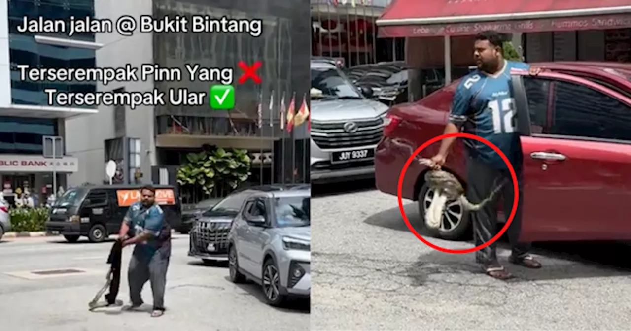 [VIDEO] Lelaki Jadi 'Hero' Selamba Tangkap Ular Sesat Guna Tangan Di Bukit Bintang