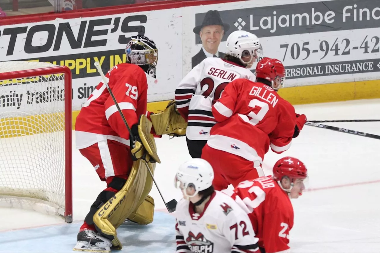 Overage goaltender happy to share the credit with Greyhounds