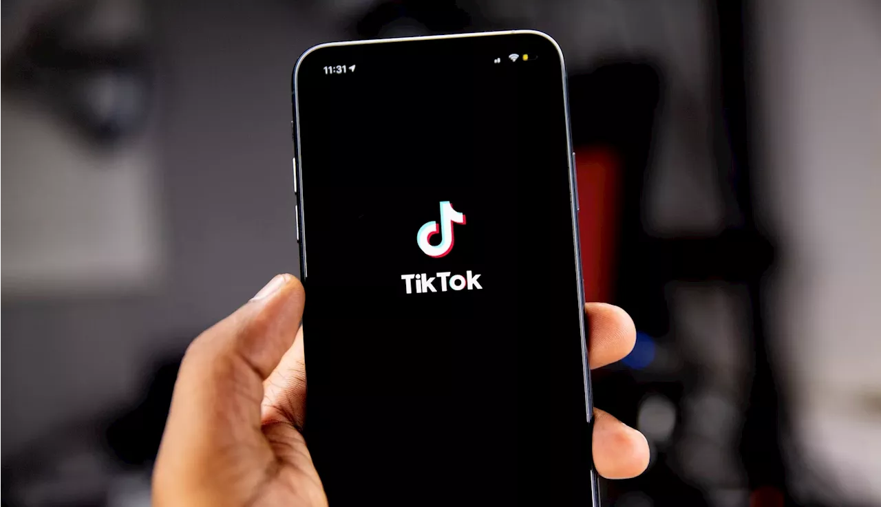 TikTok ban 'temporary delayed' in the US, all thanks to Trump?