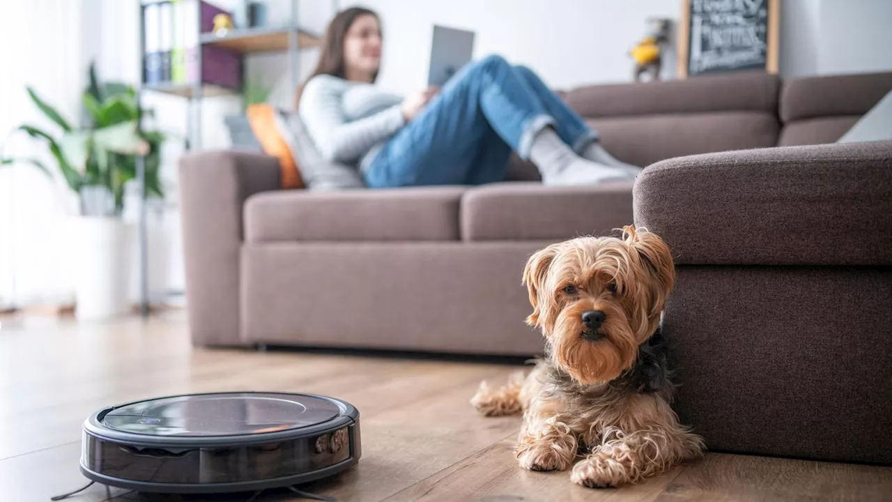 Neuer Roboterstaubsauger: Leise Reinigung und intelligente Steuerung