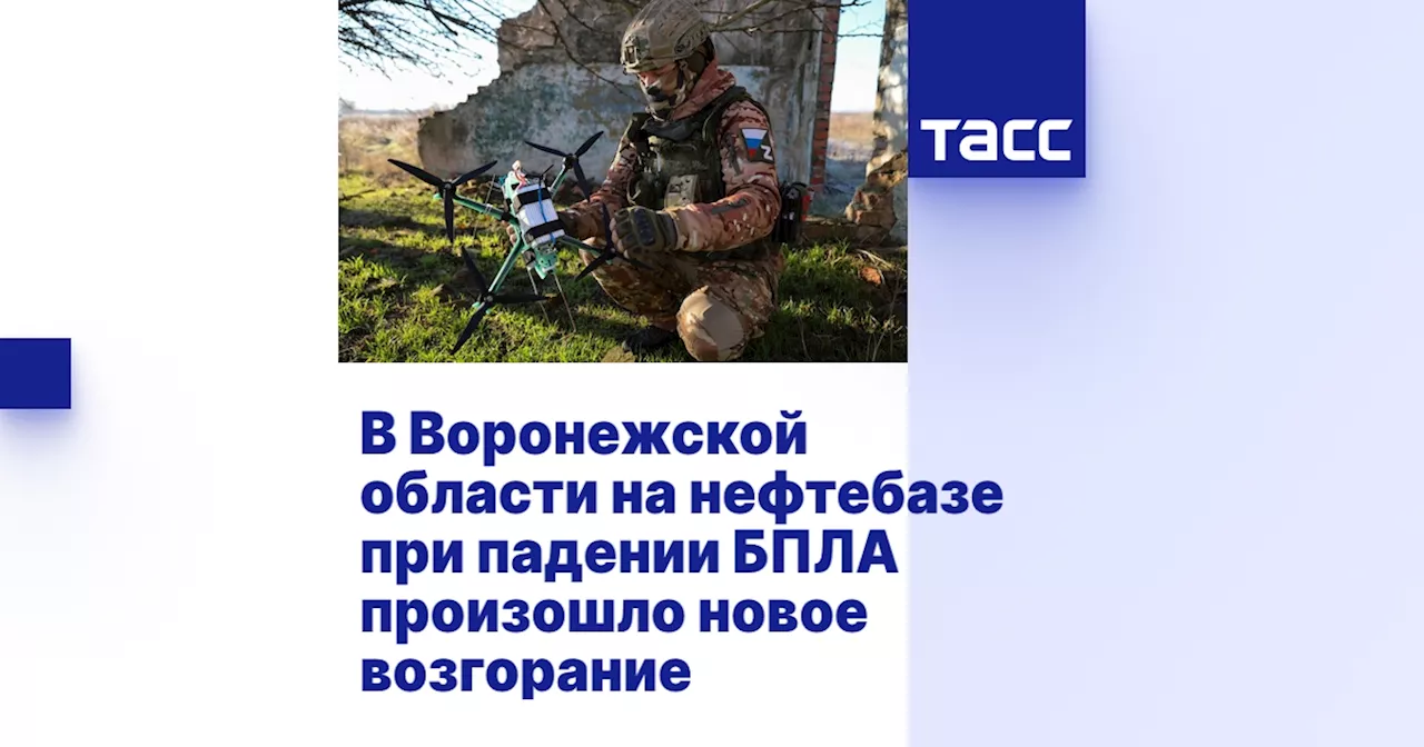 ПВО и РЭБ сбили несколько дронов ВСУ в Воронежской области