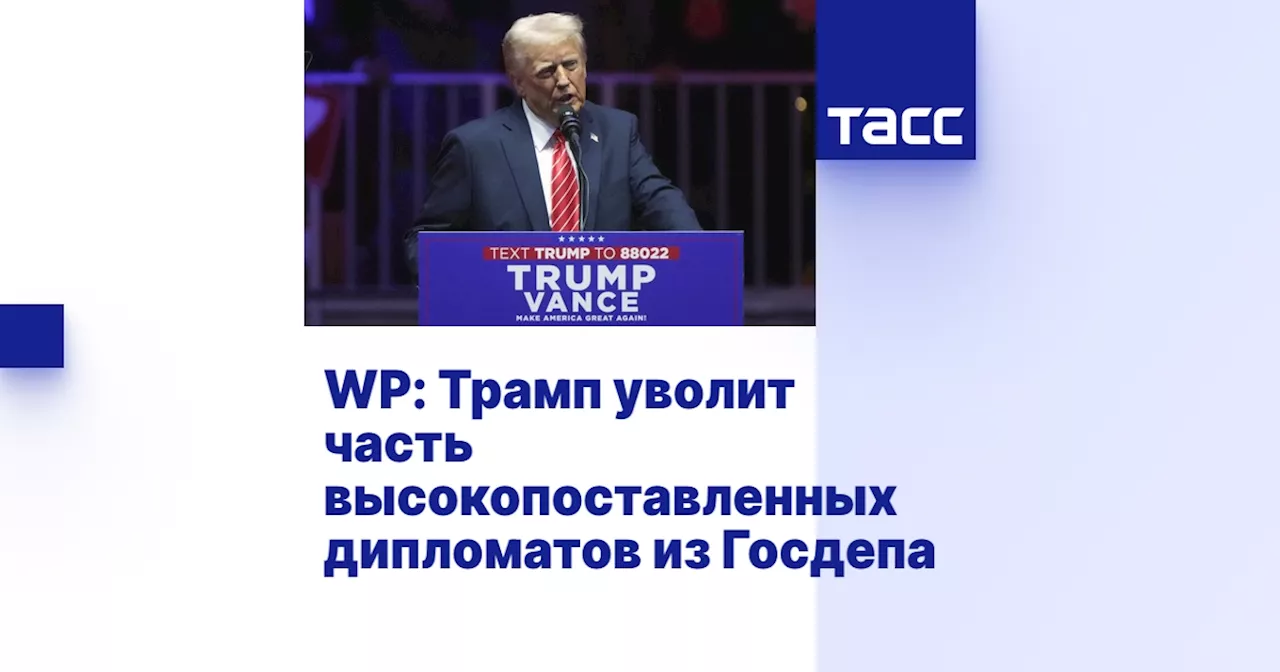 WP: Трамп уволит часть высокопоставленных дипломатов из Госдепа