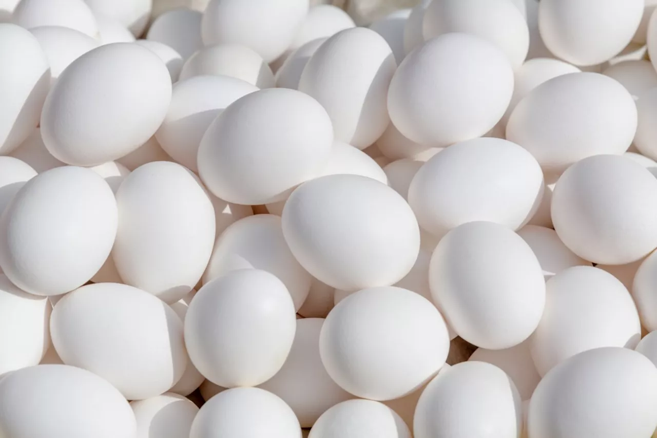 Salmonella Contamination Leads to Nationwide Egg Recall in Canada