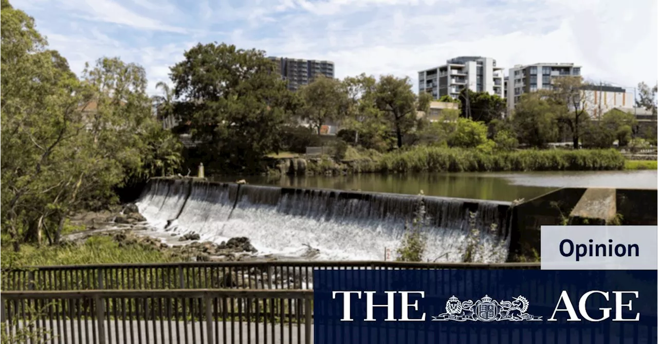 A Tiger Snake and the Transformation of Coburg North