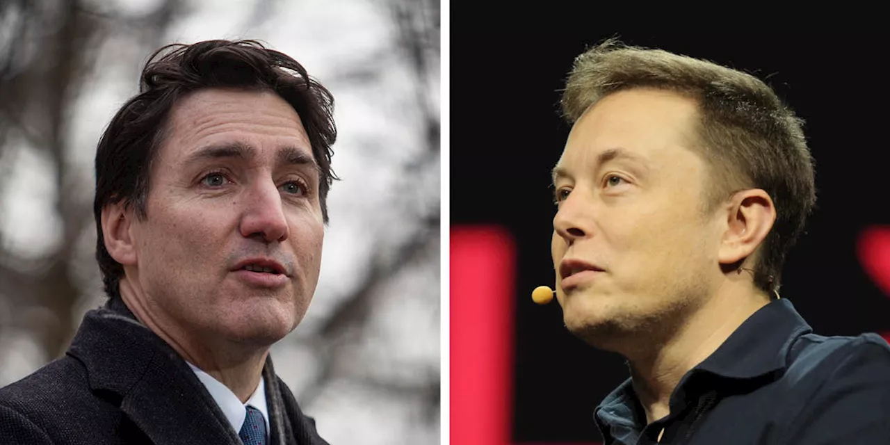 Elon Musk's Political Interventions in Canada Spark Concerns