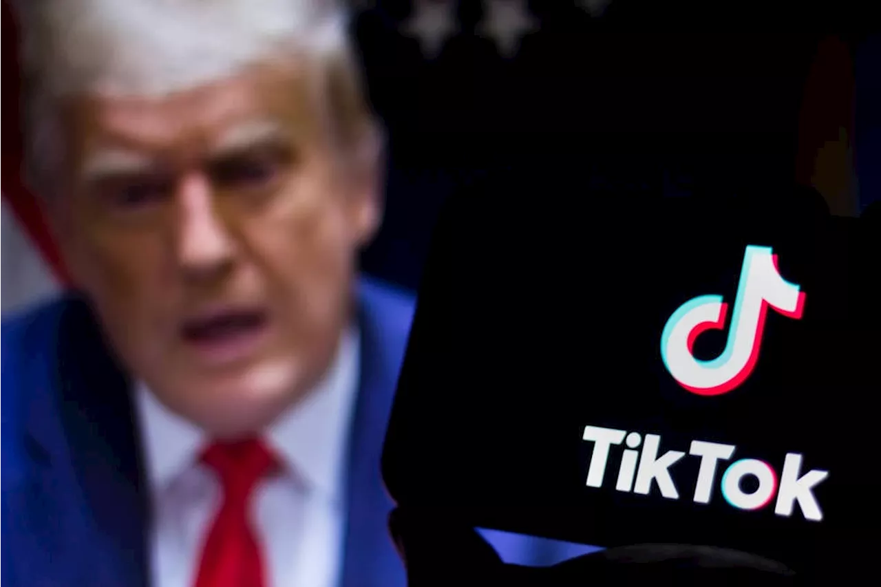 Donald Trump proposes US government acquire half of TikTok, which thanks him and restores service