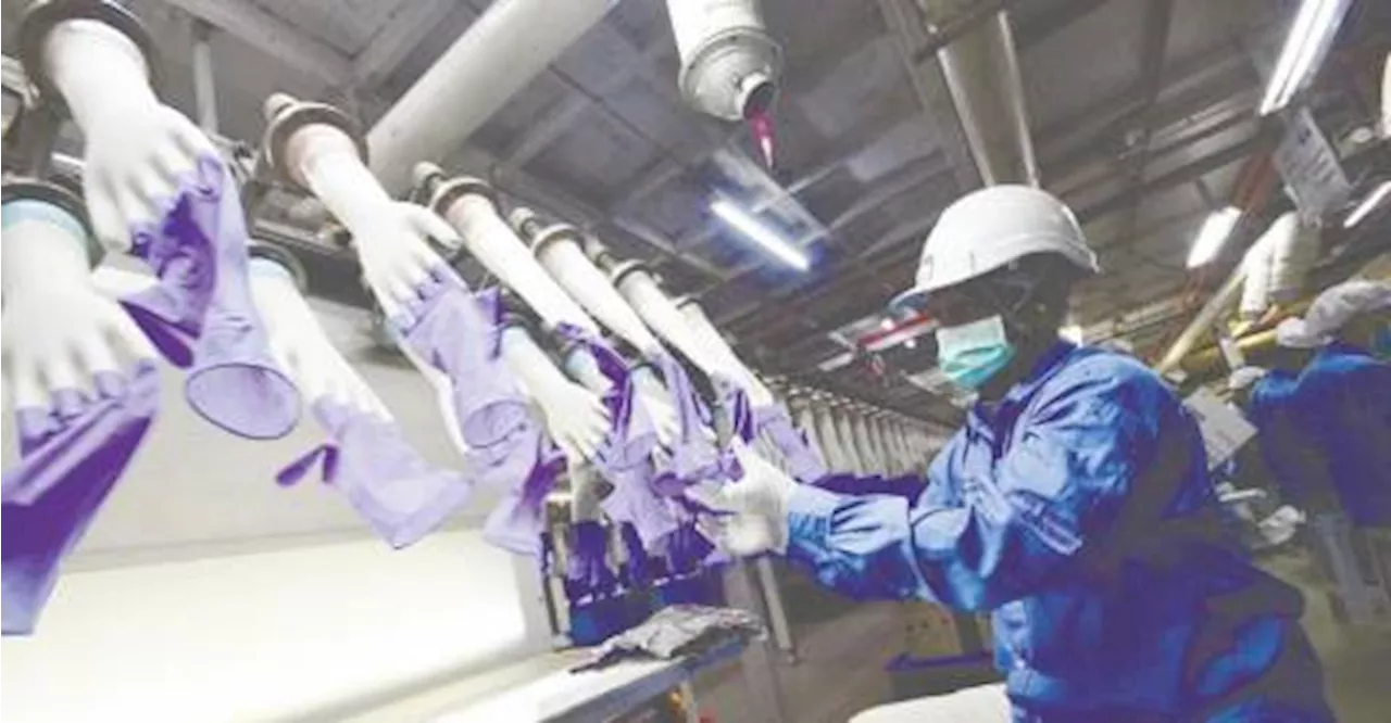 Top Glove anticipates strong recovery in 2025 on rising demand, redirection of orders