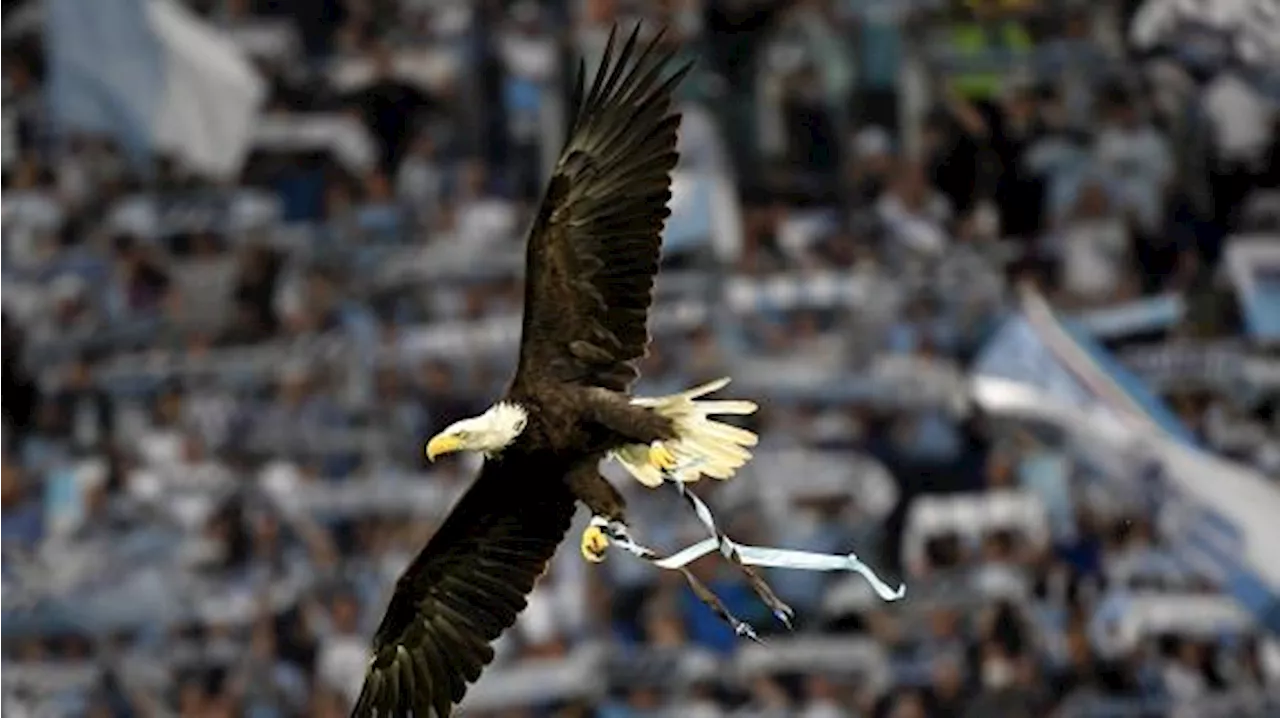 Lotito cerca un nuovo falconiere per la Lazio