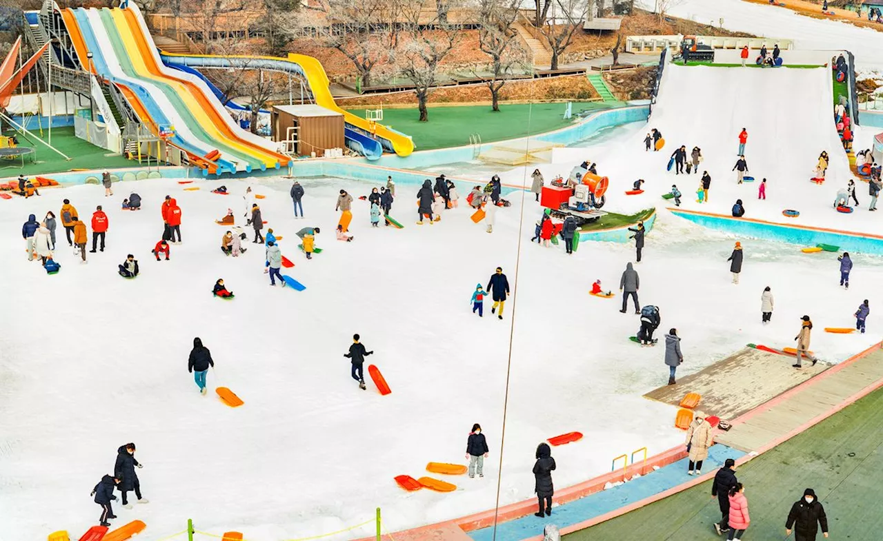 Finding Joy in the Ordinary: A Glimpse into South Korea's Leisure Culture