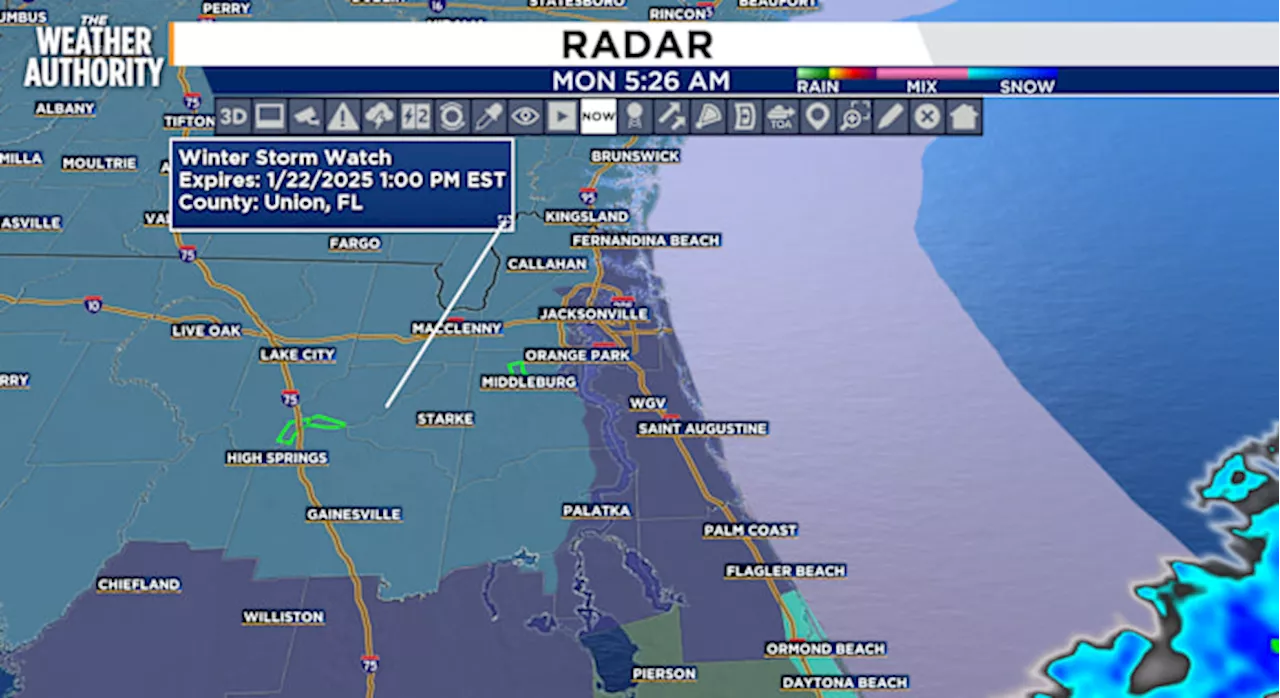 Wintry Mix on the Way: Georgia and Florida Brace for Freezing Temperatures