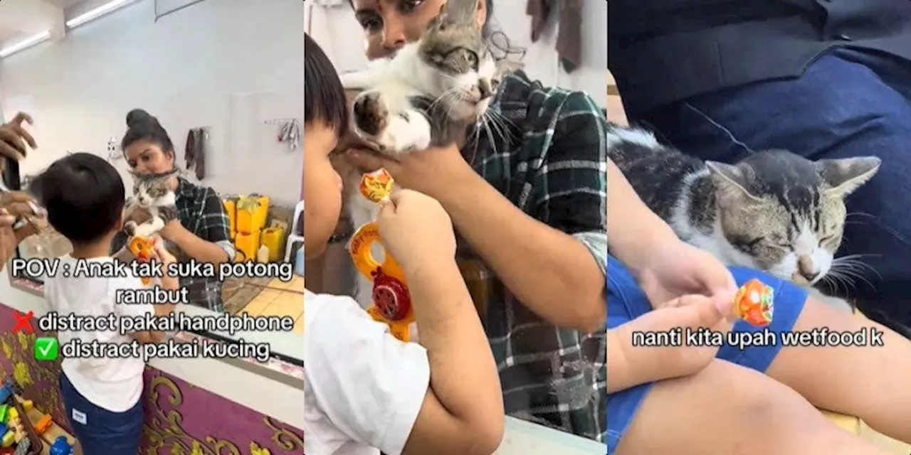 WATCH: Barbershop Uses Kitty to Distract Kids Who Are Afraid of Getting Haircuts