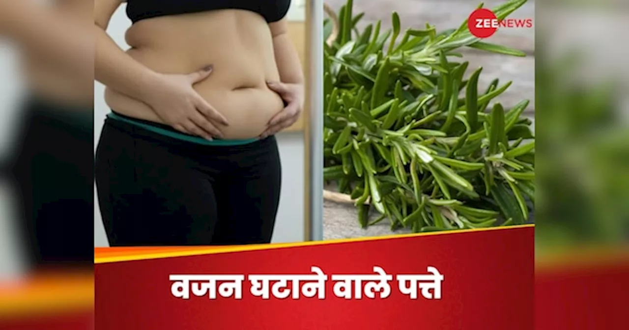 वजन घटाने के लिए जिम जाना है खर्चीला, इन 5 पत्तों को खाकर बनें Slim & Trim