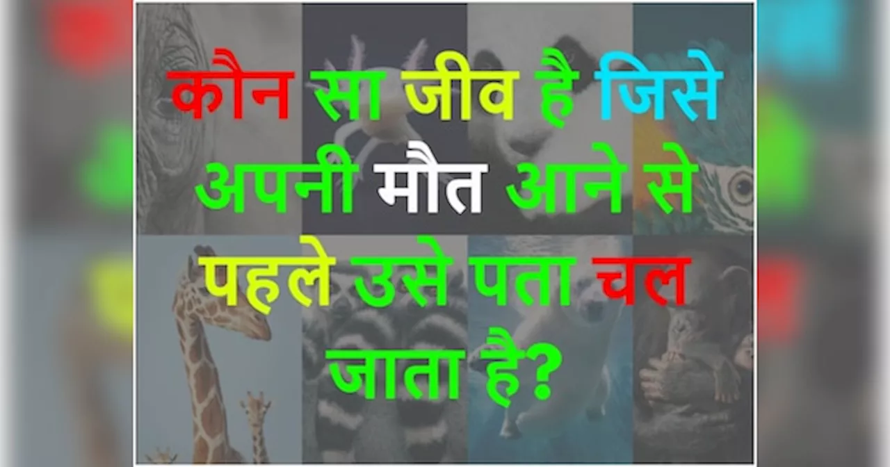 GK Quiz: कौन सा जीव है जिसे अपनी मौत आने से पहले उसे पता चल जाता है?