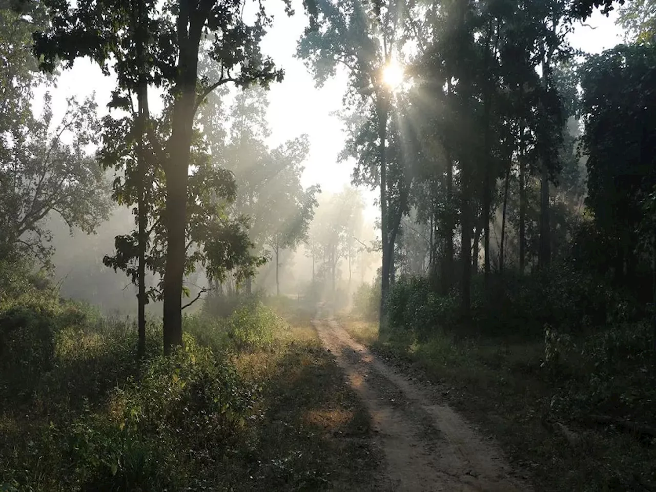 Maharashtra Weather News : थंडीवर मात करत राज्यात उडाका वाढणार; कुठे देण्यात आलाय भयंकर पावसाचा इशारा?