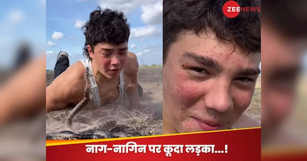 Naag Nagin Video : नाग-नागिन के जोड़े पर कूद गया लड़का, इसके बाद का मंजर देख खड़े हो जाएंगे रोंगटे!