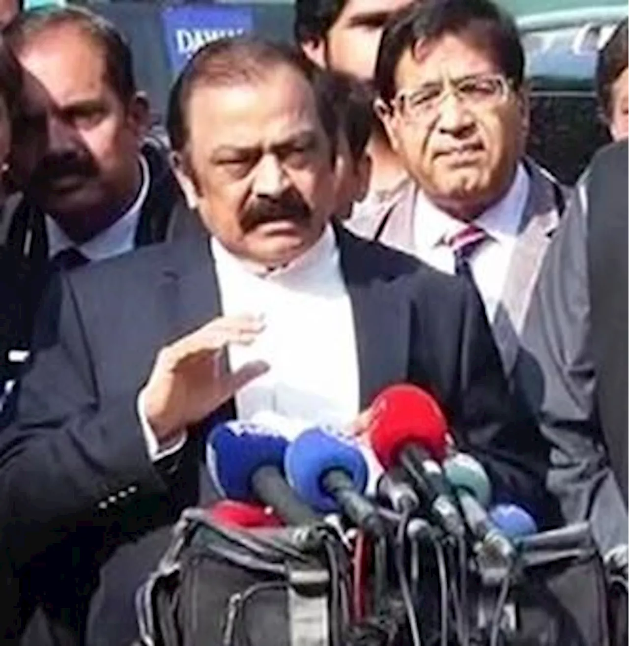 Subcommittee formed to review PTI's demands, says Rana Sanaullah