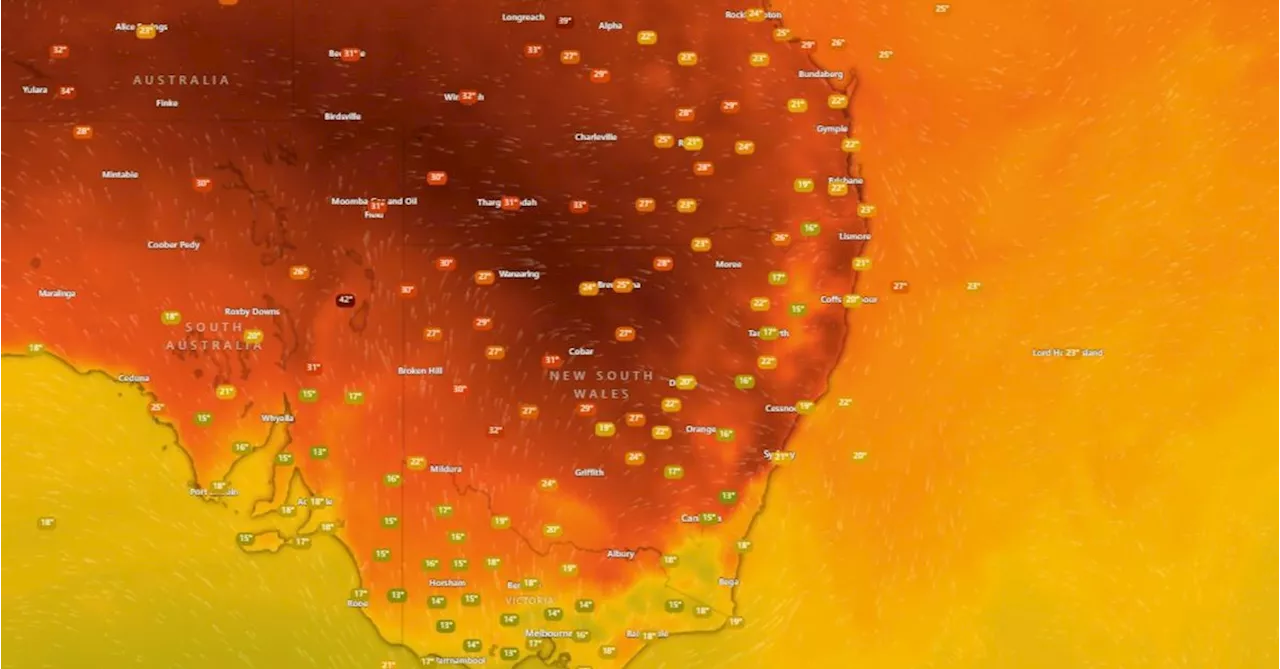 Temperatures to nudge 40 degrees in Sydney and Brisbane as heatwave grips east coast