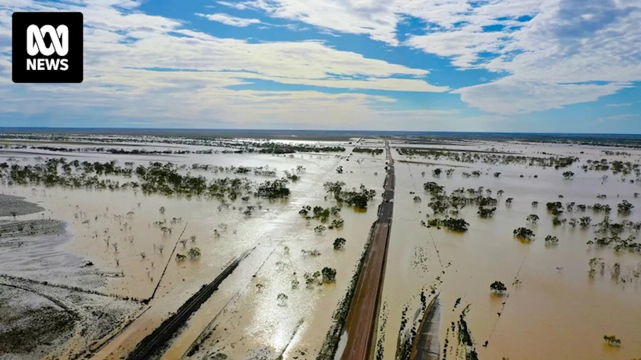 Former Cloncurry councillor John Dane Swalling sentenced over 2019 flood relief fraud