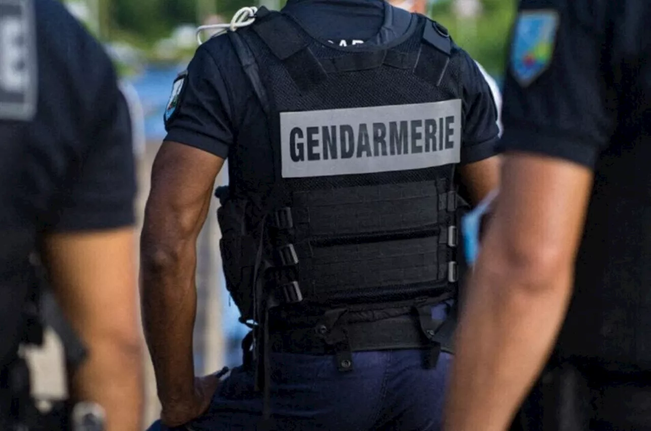 Bretagne : le déchaînement de violence d'un père et son fils sur des gendarmes