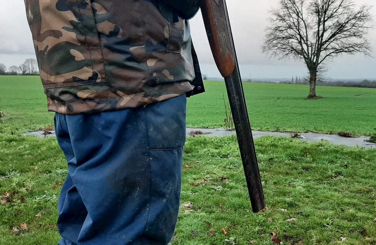 Un chasseur blessé par erreur de tir dans la forêt de Roumare