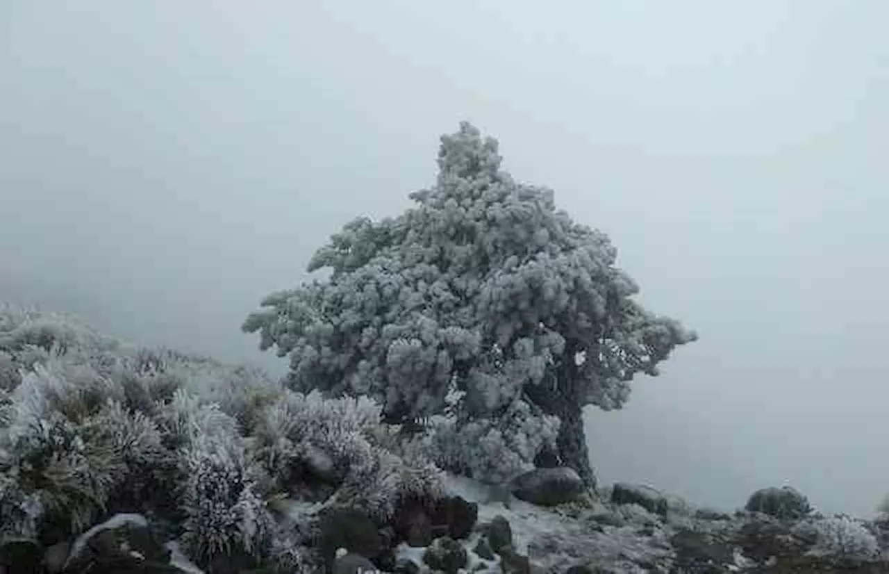 Qué es la lluvia engelante que podría afectar Veracruz