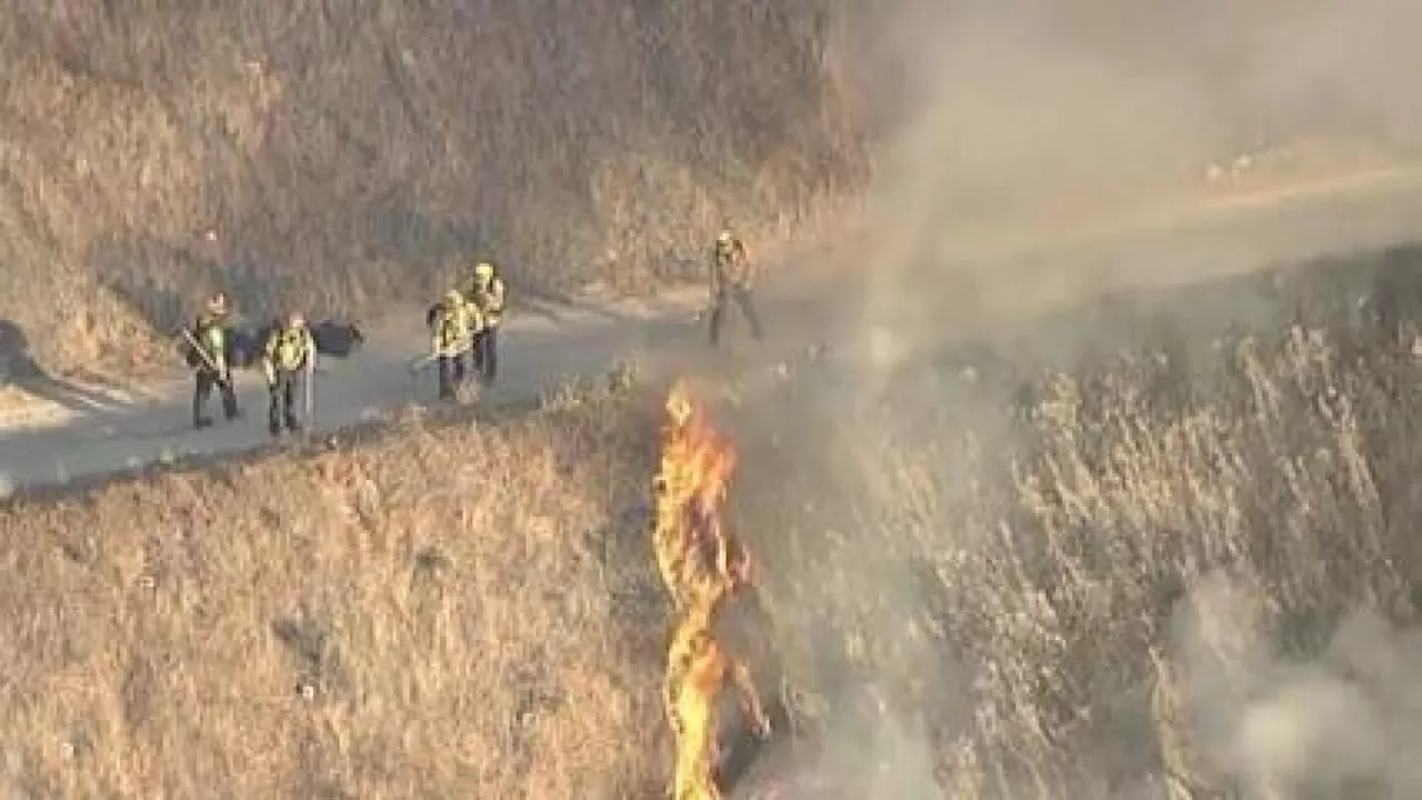 Fire crews extinguish a brush fire along Interstate 405 near Los Angeles