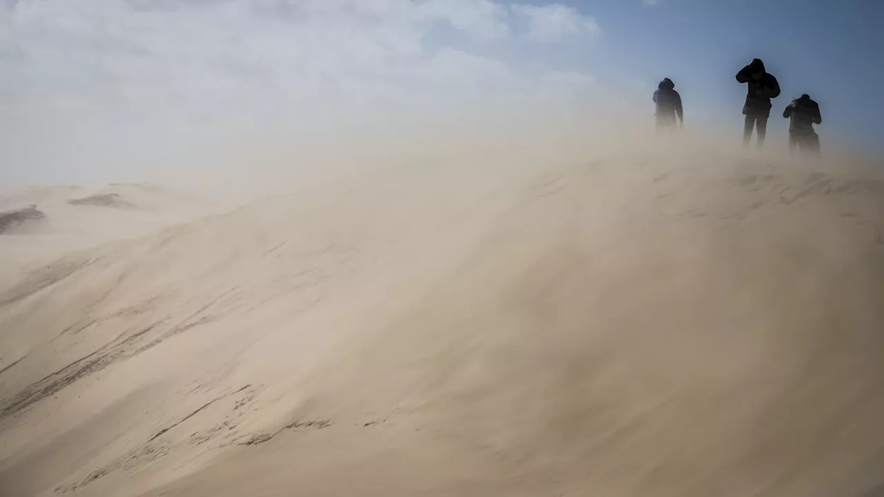 La Dune du Pilat perd de son altitude et se déplace vers la forêt