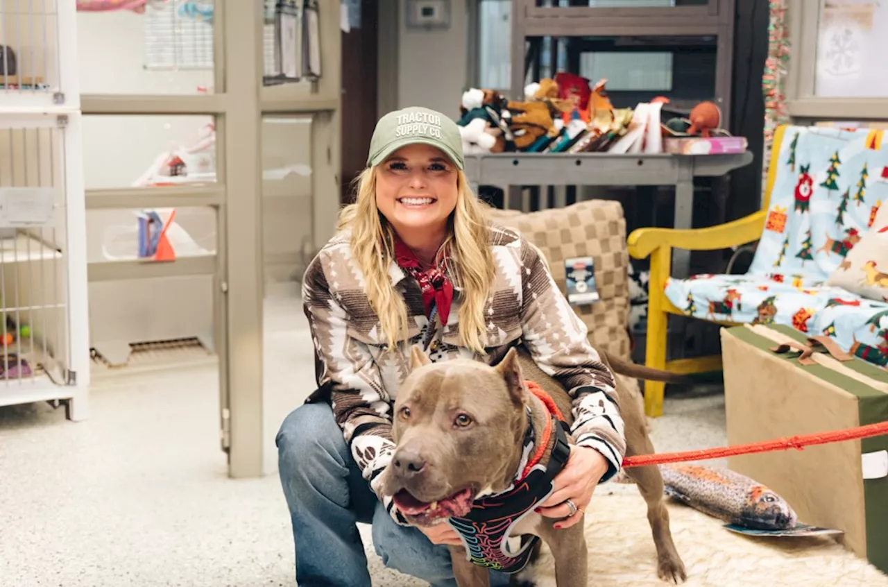 Miranda Lambert’s MuttNation Partners With Guitar Shop to Help Animal Shelters Impacted by L.A. Wildfires