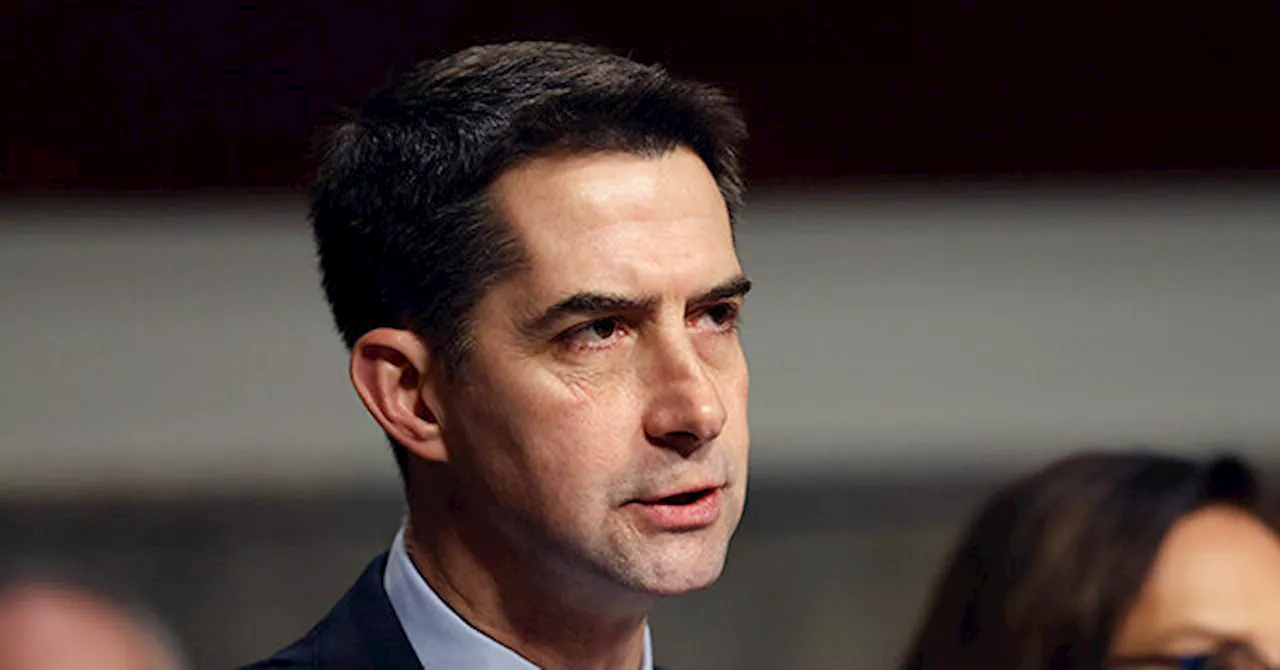 Cotton Threatens 'Schumer Precedent' If Democrats Delay Trump Cabinet Confirmations