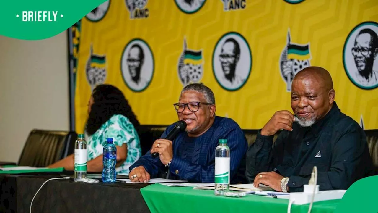 ANC Faces Difficult Decisions After Disappointing Election Results