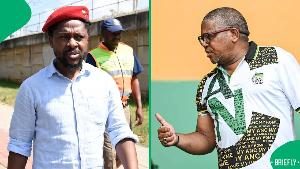 Fikile Mbalula Fuels Speculation on Dr Mbuyiseni Ndlozi’s Future, Sparks Humour and Criticism Online