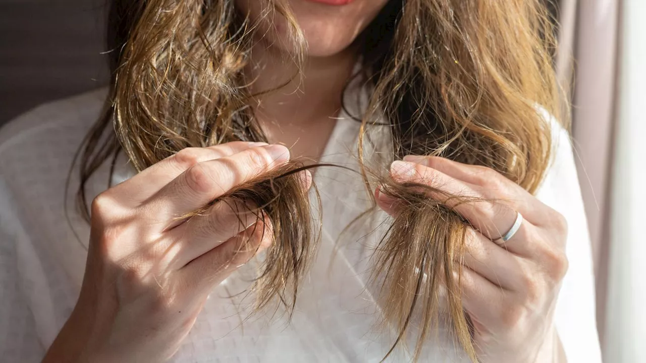 Eifersucht beim Friseur? Studie enthüllt überraschende Gründe für zu kurze Schnitte