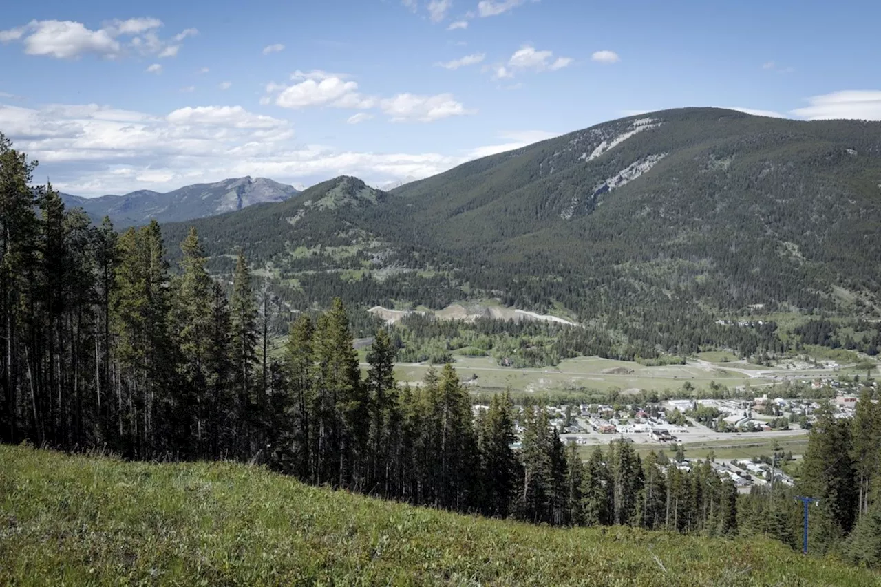 Alberta government lifts coal mining moratorium, critics say it's 'open season'