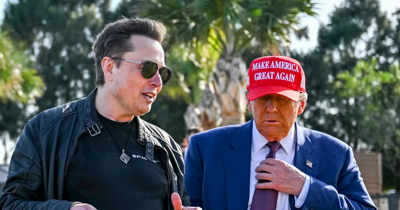 Trump Establishes Department of Government Efficiency, Headed by Musk and Ramaswamy