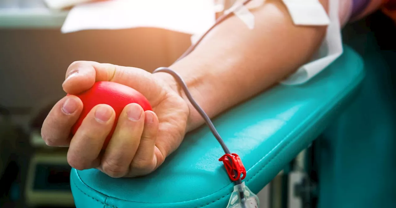 New York City Faces Blood Emergency, Urging Residents to Donate