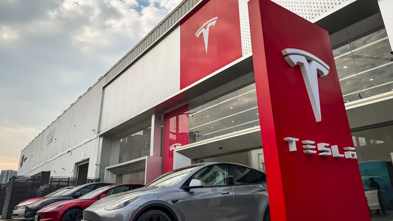 Tesla Remains Top 'Buy-and-Hold' Idea Despite Potential Market Volatility