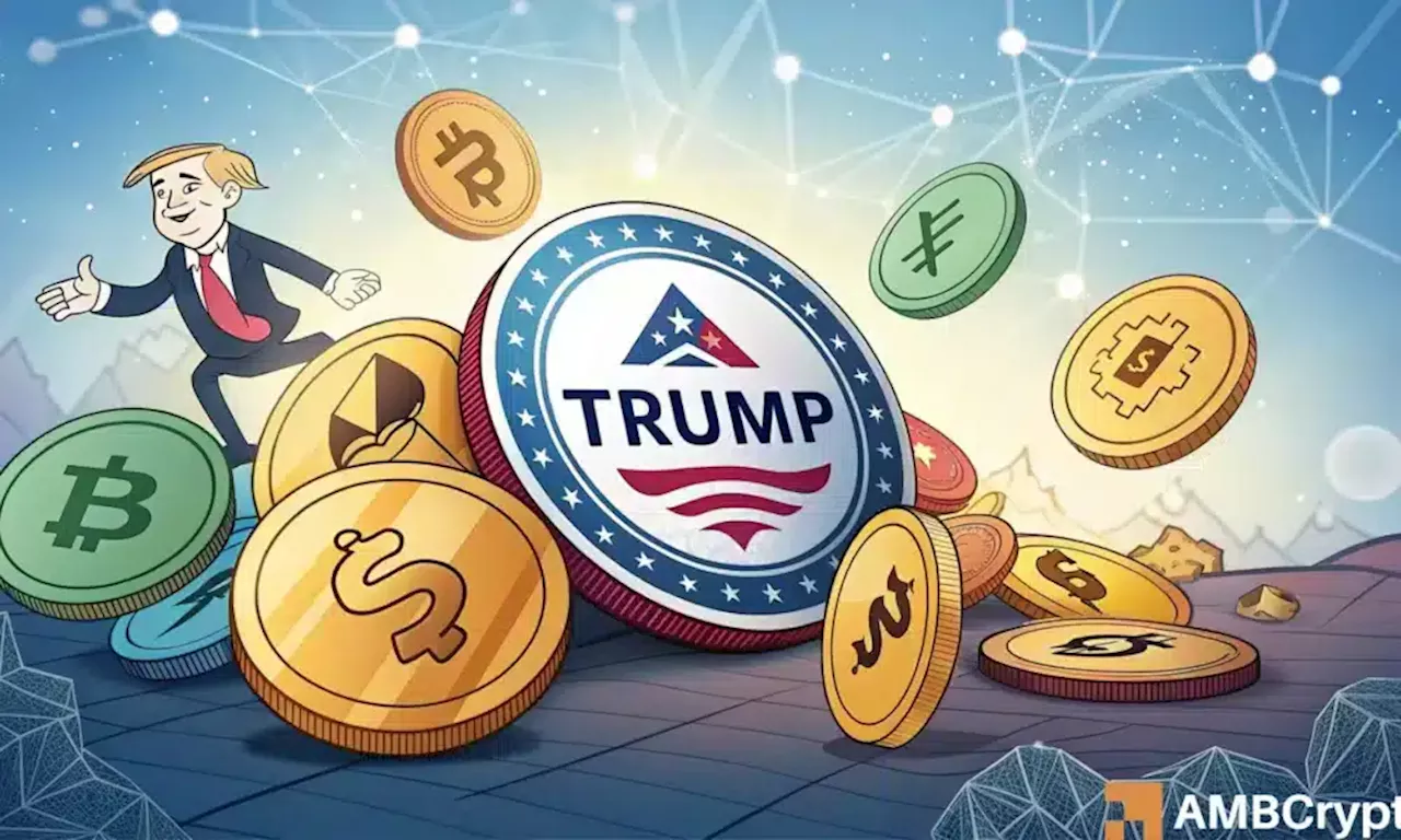 TRUMP Token's Meteoric Rise Fuels Solana Surge and Spark Memecoin Bubble Concerns